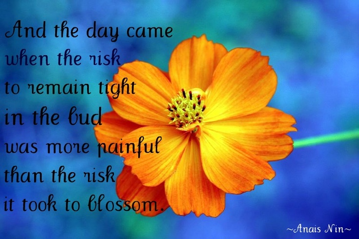 Flower blossom graphic with quotation