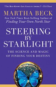 Steering by Starlight book